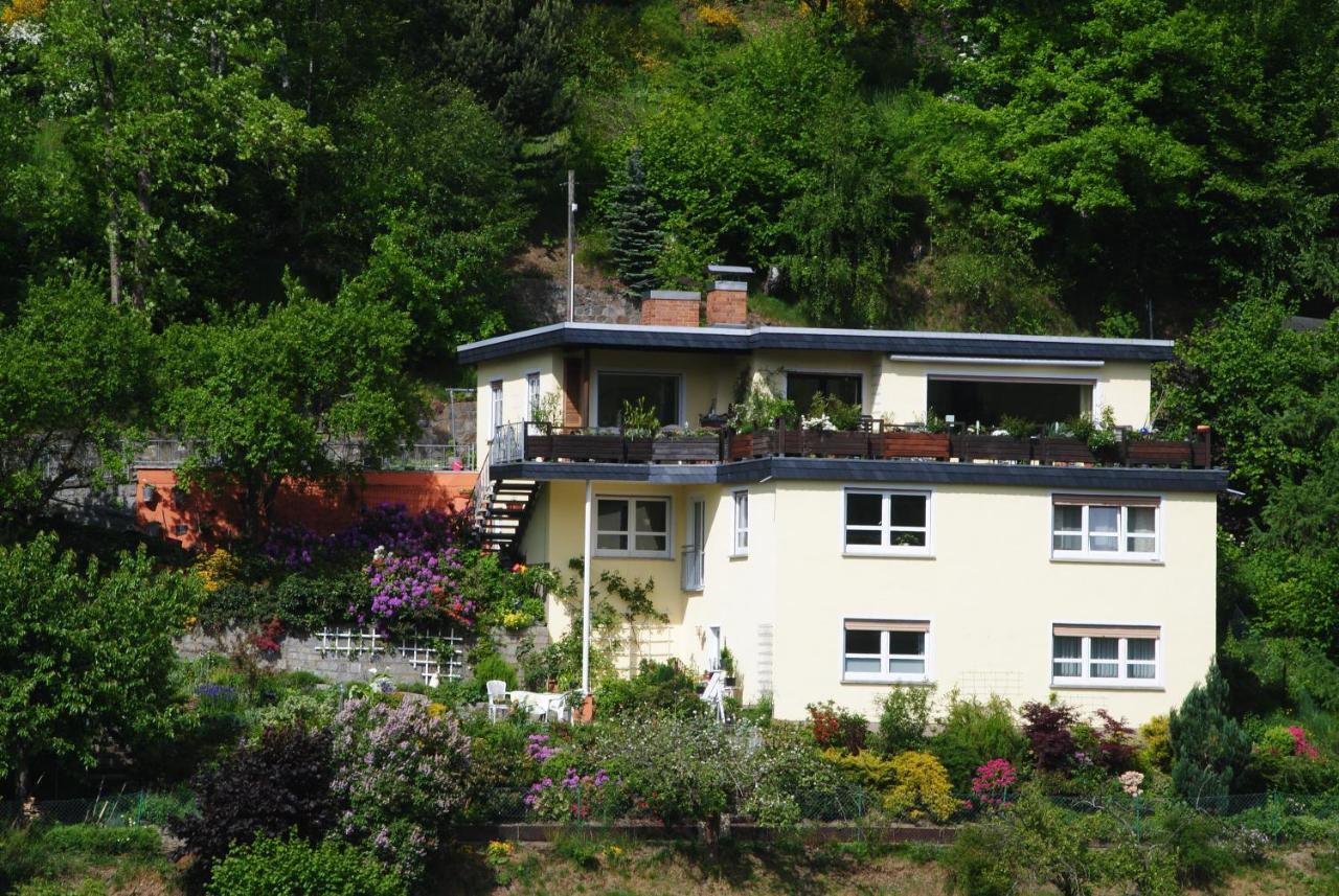 Ferienwohnung Haus Am Sommerberg Ludwigsstadt Zewnętrze zdjęcie